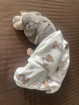 Wellnessdecke 70x50 cm Teddy hell